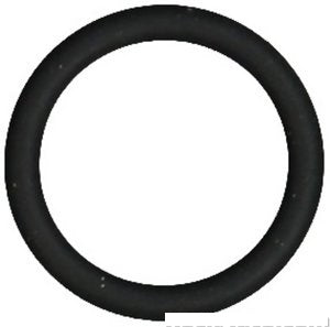 أورنق ماسورة الماي - AUDI A8 ( 2019 )