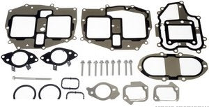 حلقة EGR - D F-550 SUPER DUTY ( 2020)