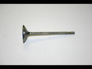بلف إكزوزت - D F53 ( 2018)