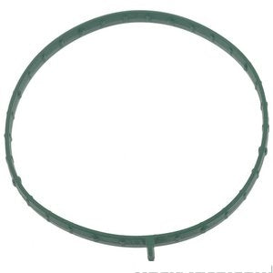 جوان بوابة الخانق - D GT ( 2021)