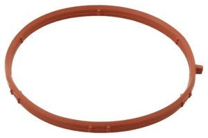 جلدة مدخل الإكزوزت - AUDI A5 ( 2024 )