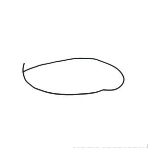 جلدة السقف الزجاجي - DODGE CHARGER ( 2021 )