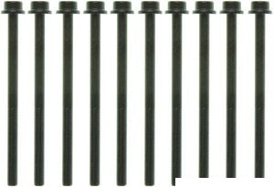 مسمار رأس المكينة - D  MAVERICK ( 2024)