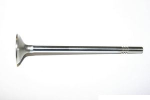 بلف إكزوزت - D  F-650 ( 2021)