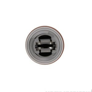 فيش نور البارك - D  FOCUS أمامي ( 2010)