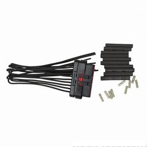 فيش محرك مثبت السرعة - D  FREESTAR ( 2006)