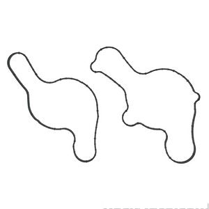 جلدة طرمبة ماء - D  POLICE INTERCEPTOR SEDAN ( 2016)