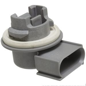 موصل / قاعدة مقبس الضوء الخلفي - D  THUNDERBIRD ( 2005)