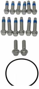 مسامير هب - D  TRANSIT خلفي ( 2019)