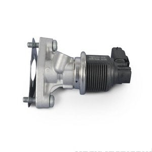 فالف EGR - MITSUBISHI RAIDER ( 2009 )